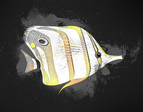 花间绘君颜停服还会上架吗？停服背后隐藏着什么秘密？