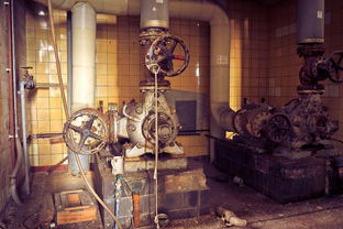 (我的英雄不见了)我的英雄失灵了西游版：一场奇幻冒险与神秘英雄的精彩碰撞