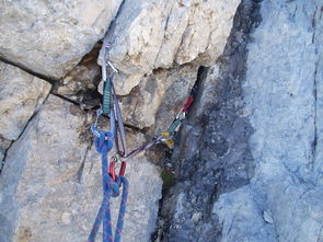 (妖神记手游妖主的秘密)探秘妖神记手游世界，挑战神秘妖王，谁能称霸？