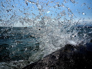 凤江湖论坛:探讨湖泊生态保护、文化传承与乡村发展的重要平台 凤江湖论坛:探讨湖泊生态保护、文化传承与乡村发展的重要平台