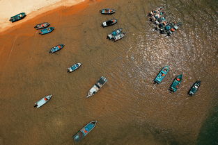 深度揭秘：详解《海沙风云》全结局攻略，揭示多角度选择带来的影响及其应对策略