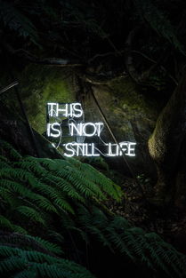 探索神秘世界,组建冒险与精灵最强阵容:游戏策略与角色成长因素全面解析 探索神秘世界,组建冒险与精灵最强阵容:游戏策略与角色成长因素全面解析