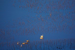 (风之起源攻略)探索风之起源论坛:揭开风之谜的奥秘与分享风的灵感与创意 (风之起源攻略)探索风之起源论坛:揭开风之谜的奥秘与分享风的灵感与创意