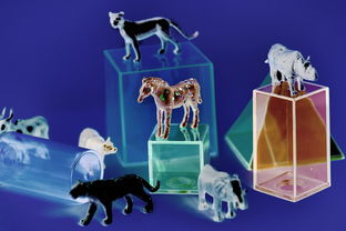 (马之王子殿下结局是什么样的)马之王子殿下是什么时候出现的?这位神秘角色的来历揭秘 (马之王子殿下结局是什么样的)马之王子殿下是什么时候出现的?这位神秘角色的来历揭秘