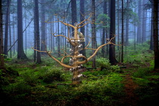 (醉西游视频)探寻醉西游贴吧的神奇世界:梦幻与现实的交汇之地 (醉西游视频)探寻醉西游贴吧的神奇世界:梦幻与现实的交汇之地