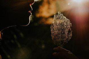 (寒冬的回忆)寒冷的回忆:重温零下记忆旧版的感动时光 (寒冬的回忆)寒冷的回忆:重温零下记忆旧版的感动时光