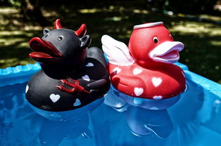 (揭秘魔魔如何征服勇士的名贵坐骑)揭秘魔魔如何征服勇士的名贵坐骑