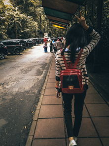 (暗夜破晓服饰)探秘暗夜迷宫：揭秘破晓之路走法详解