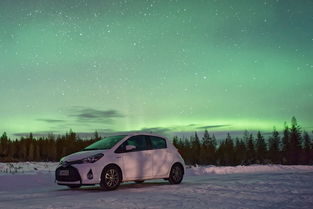 (龙战八荒单机)龙战八荒传奇手游官网：探寻无尽传说，酣畅淋漓战斗欢乐