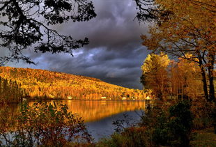 (10首绝美古诗词)十首顶级绝美的古诗，领略千年诗词之美