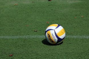 (排球操向前冲)学习排球舞蹈向前冲的教学视频助你迈出舒适区,挑战自我。 (排球操向前冲)学习排球舞蹈向前冲的教学视频助你迈出舒适区,挑战自我。