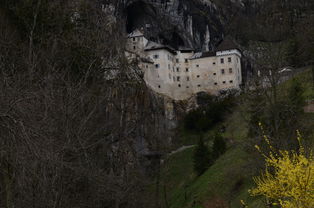 (血滴子是干啥用的 视频)一窥奇特杀器：详解血滴子的历史背景、制作工艺与实战应用