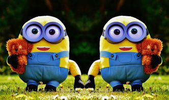 (武林宗派)探秘江湖武林：武宗江湖攻略，剑指无敌武功秘笈