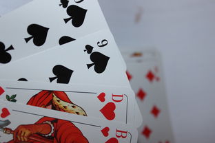 (麻将单机版下载安装)最新麻将单机版免费版下载,全新游戏模式等你来挑战! (麻将单机版下载安装)最新麻将单机版免费版下载,全新游戏模式等你来挑战!