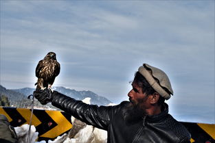 (探险家秘籍)揭秘探险家手记手游:探险之旅的刺激与挑战等你来解锁! (探险家秘籍)揭秘探险家手记手游:探险之旅的刺激与挑战等你来解锁!