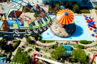 勇闯女儿国阵容揭秘:女性主导作品为何能一路破浪获得良好市场表现? 勇闯女儿国阵容揭秘:女性主导作品为何能一路破浪获得良好市场表现?