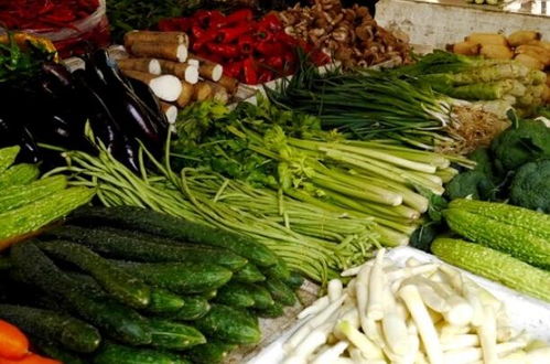 卖菜致富记免广告中文最新版下载-卖菜致富记修改器下载v.2.57 卖菜致富记免广告中文最新版下载-卖菜致富记修改器下载v.2.57