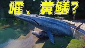 模拟鲨鱼狩猎求生最新版煎饼店免广告下载-模拟鲨鱼狩猎求生下载内购版v.7.65