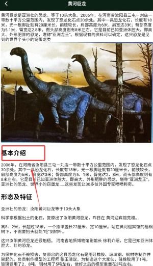 龙岛异兽官方正版无广告版安卓最新版下载-龙岛异兽官方正版下载手机版2024正版更新版v.3.25 龙岛异兽官方正版无广告版安卓最新版下载-龙岛异兽官方正版下载手机版2024正版更新版v.3.25