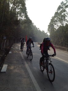 速降山坡自行车最新版下载安卓-速降山坡自行车无限背包无限血下载v.2.56 速降山坡自行车最新版下载安卓-速降山坡自行车无限背包无限血下载v.2.56