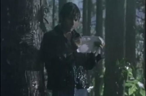 璀璨之旅怎么突然就没了?探索失去背后的真相 璀璨之旅怎么突然就没了?探索失去背后的真相