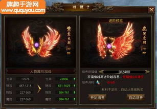 探秘龙腾传世：羽翼进阶数据与成长攻略全面解析