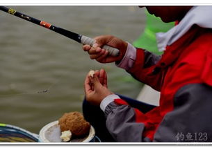 钓鱼竞技比赛技巧游戏:如何在比赛中脱颖而出? 钓鱼竞技比赛技巧游戏:如何在比赛中脱颖而出?