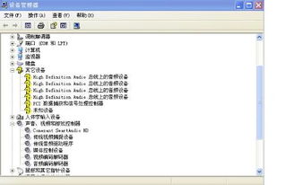 为什么Twirdora无法播放音频文件?解决方法在哪里? 为什么Twirdora无法播放音频文件?解决方法在哪里?