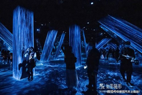 暗夜Pro官方官网入口：探索黑夜之美，发现更多惊喜！
