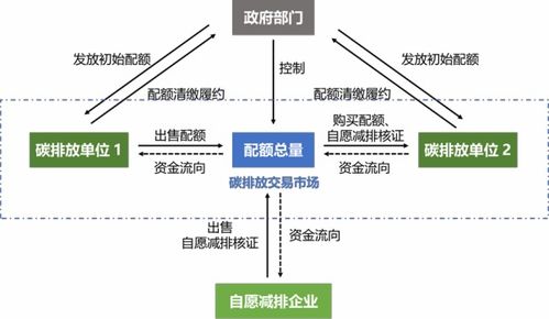 探究个人发展路径：我的起源交易平台如何驱动我在金融市场的壮大之旅