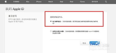 在挨饿荒野账号密码忘了怎么办?忘记密码怎么找回账号? 在挨饿荒野账号密码忘了怎么办?忘记密码怎么找回账号?