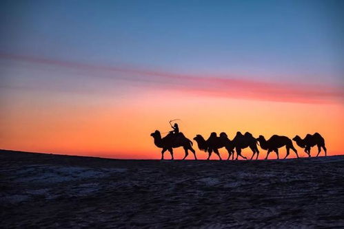 勇敢向前，不畏风雨，坚毅前行，勇攀高峰，勇拓新境，努力不停，决胜未来。