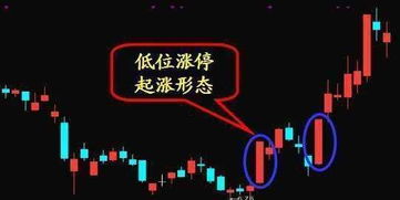 识破:叛徒大将称兄弟：新澳门天天免费谜语论坛神算子,2025年天天免费资料百度2025年最新免费,拒绝误导言辞陷阱-价值剖析、专家解读解释与落实