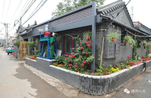 2025年正版资料免费最新版本，今期生肖在一头，和777788888888精准新官家:优化解答、专家解析解释与落实​,留心虚假推广危害