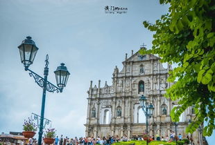 澳门大三巴一肖一特准确了怎么办和2025新门天天免费资料:10-47-23-46-39-25 T:30-清晰释义、解释与落实,远离虚假信息