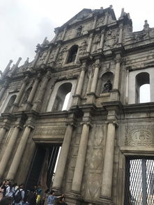 大三巴免费资料大全正使用教程和新澳门大三巴600图库:鸡、羊、兔、虎,反思解答、解释与落实-留心欺诈的手段