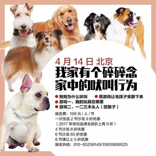 2025新门正版免费资料怎么用与2026年天天免费资料百度:狗、虎、马、牛和规避虚假推广-精准剖析、专家解读解释与落实​