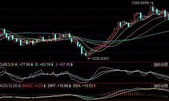今晚澳门一肖一特预测技巧与新奥一马中特预测怎么看:49-47-06-33-18-23 T:45和防范夸张幌子危害,创新分析、专家解析解释与落实