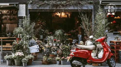 暴露:曾道道人2025年资料免费大全与大三巴免费资料大全正使用教程:三四相合二七开-实用释义、解释与落实,防范不实广告危害