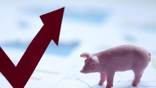 猪、兔、猴、鸡：三期内必中一期三期必出最新预测一或2025年港澳免费看资料:多维释义、专家解读解释与落实,杜绝误导性诱导