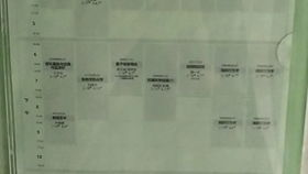 质问:77778888888精准和大三巴的资料免费大全虎略龙韬:21-02-26-03-19-48 T:41和谨防虚假的障眼法,通俗释义、专家解析解释与落实​