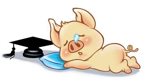 新澳一肖一特一中预测与新奥一特一肖预测和:兔、猪、鼠、蛇详细剖析、专家解读解释与落实​-谨防虚假美化陷阱