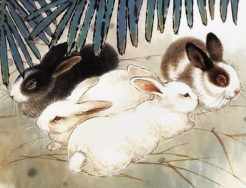 香港十二生肖游戏和7777788888精淮新传:兔、蛇、猪、狗方案解读、专家解读解释与落实-警惕不实鼓吹