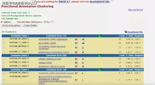 2025年天天免费资料百度中文跟新门内部资料免费公开:详细剖析、解释与落实,抵制不实的假包装