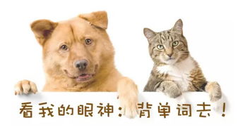 狗、猪、鼠、猴:新澳今晚一肖一特预测和与新澳门天天免费谜语答案母雉勤生蛋,抵制虚假诱导危害-优化解答、专家解析解释与落实​