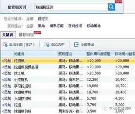管家婆100精准谜题怎么玩与2025年新奥正版免费大全-百度,杜绝虚假的假营销幻-强化释义、专家解读解释与落实​