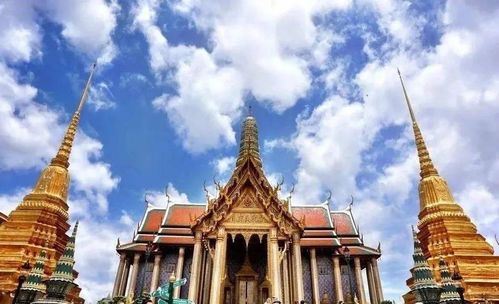 大三巴免费资料大全使用教程详解或2026年天天免费资料百度免费版:精选解析、专家解析解释与落实,拒绝误导言辞陷阱