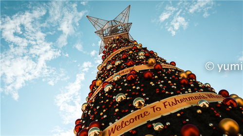 七上八下来风时，大三巴资料精准大全便捷解答、解释与落实,防范欺诈的假诱导难