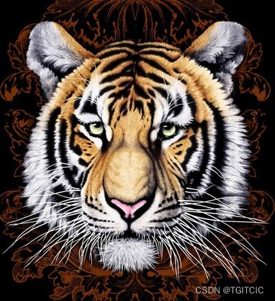 2026全年免费资料查询，牛、羊、蛇、虎，和77777888888精准新传小说二勇公,拒绝不实的假幌子布-透彻释义、专家解析解释与落实​