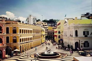 澳门大三巴一肖一特一中招生要求与新澳门天天免费谜语论坛1688:16-22-17-46-08-37 T:09-实用剖析、专家解析解释与落实​,谨防虚假包装